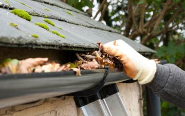 gutter cleaning Phoenix Row, County Durham