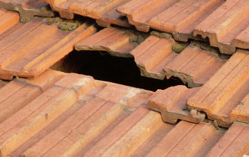 roof repair Phoenix Row, County Durham